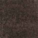 Pavia - Cocoa