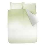 Saraille Moss Queen Duvet