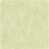 Parchment - Cardamon Pod