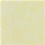 Parchment - Alchemilla