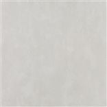 Parchment - Ivory