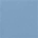 canvas - sky