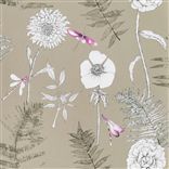 Acanthus Gold
