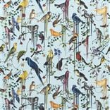 Birds Sinfonia Source