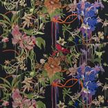 Orchids Fantasia Craft - Crepuscule