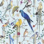 Birds Sinfonia Source