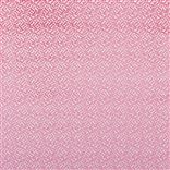 Dufrene Fuchsia