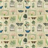 Flora And Fauna - Parchment