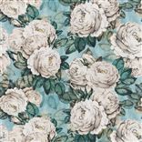 The Rose - Swedish Blue Cutting
