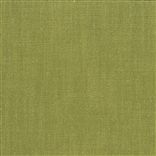 panaro - moss