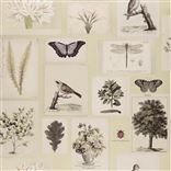 Flora And Fauna Canvas