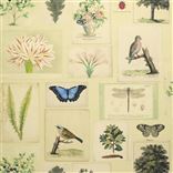 Flora And Fauna Parchment