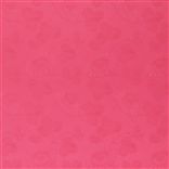 kashima - raspberry