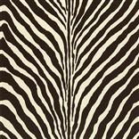 Bartlett Zebra Chocolate