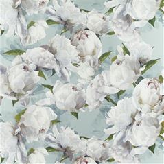Peonia Zinc