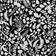 L'eden Soft Argent Black Wallpaper