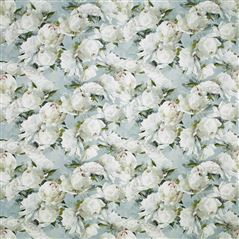 Peonia Lino Zinc