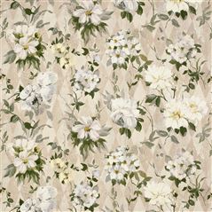 Arlecchino Tuberose