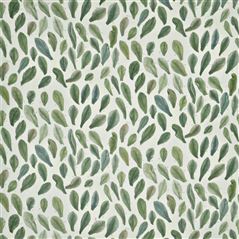 Leaf Specimens Thyme