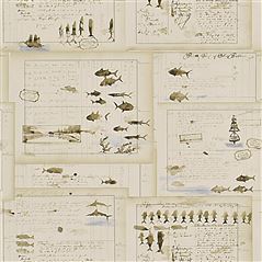 Captains Log Parchment Ralph Lauren Wallpaper