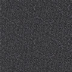 Vezzano Charcoal