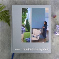 'In My View' By Tricia Guild 