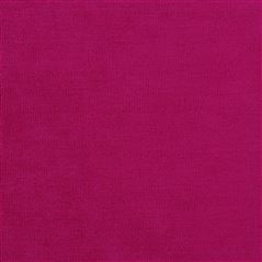 Tarazona Fuchsia