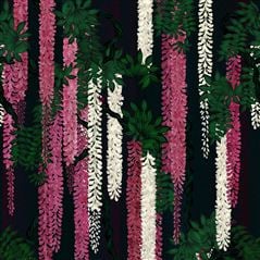 Wisteria Alba Magenta Christian Lacroix Wallpaper