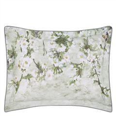 Assam Blossom Dove Shams