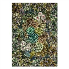 Madhya Moss Wool Throw