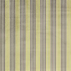 apulia - lime