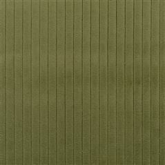 Cassia Cord Moss