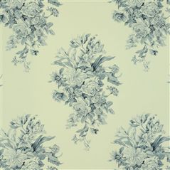 campanula - indigo