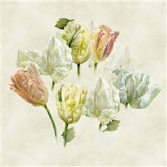 Spring Tulip Buttermilk Shower Curtain