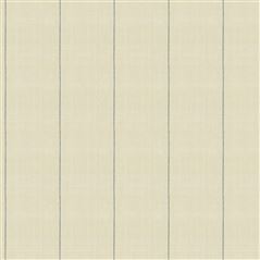 Ice House Stripe Denim