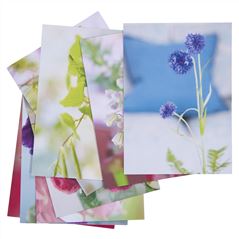 Moody Blooms Postcard Pack Of 8