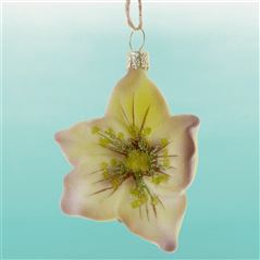 Helleborous Christmas Decoration
