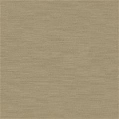 Pampas Walnut