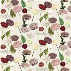 Poppy Study Violet