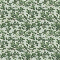 Woodland Forest
