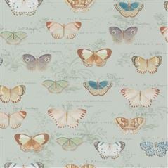 Butterfly Studies Eau De Nil