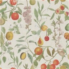 Orchard Fruits Parchment