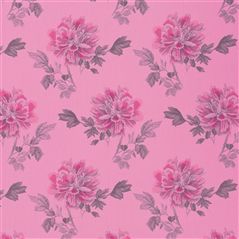 hiyoku - peony