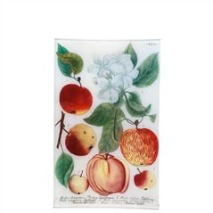 Orchard Apples Rectangular Tray