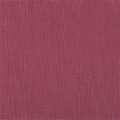 Tortona Raspberry