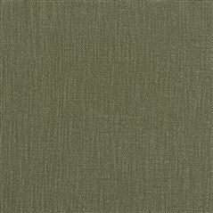 Tortona Cedar