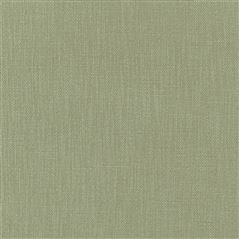 Tortona Willow