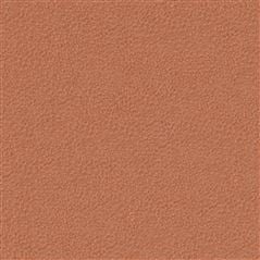 Mezzola Luxe Coral