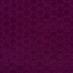 Florentine Berry