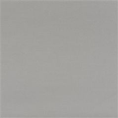 Brenay Silver